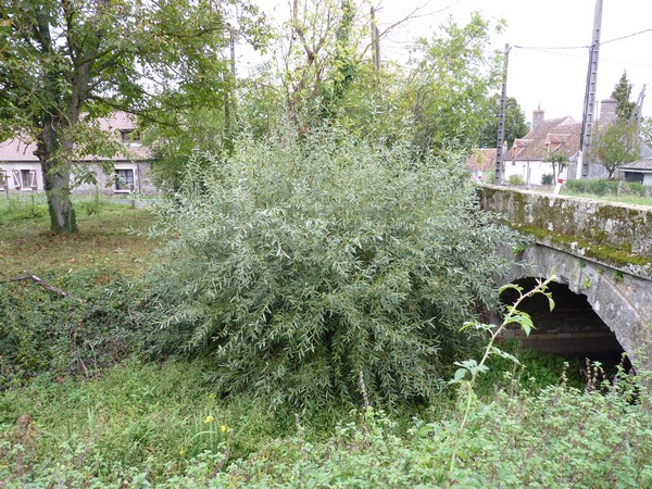 le pont de la grosse planche