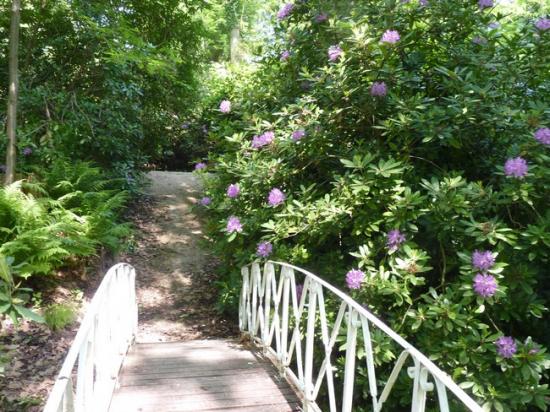 Parc de Chateauneuf sur Loire