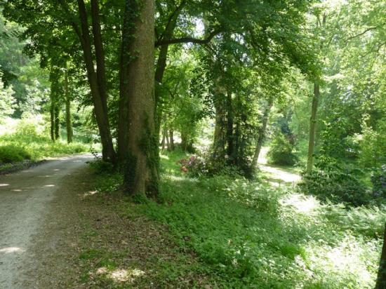 Parc Chateauneuf sur Loire