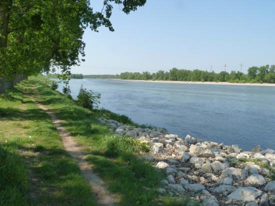 Balade en bord de Loire à Jargeau