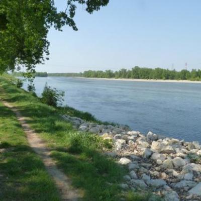 Balade en bord de Loire à Jargeau