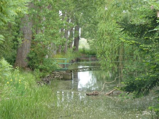 Férolles: la rivière à Babille