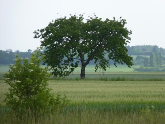 Férolles: le val et le côteau de Sologne