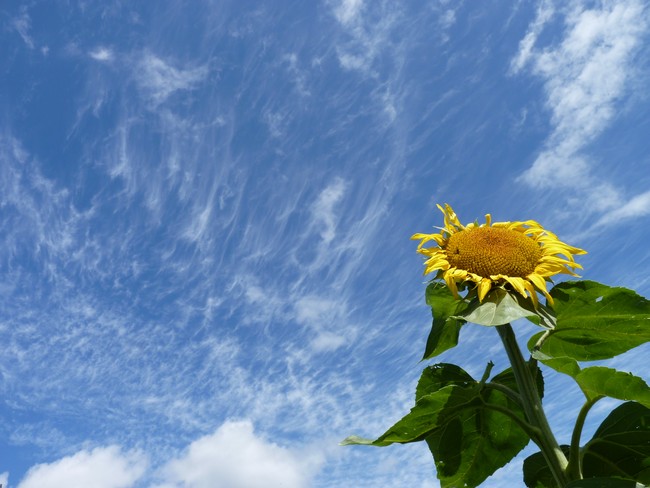 ciel d'automne