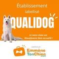 Notre gîte est labellisé Qualidog